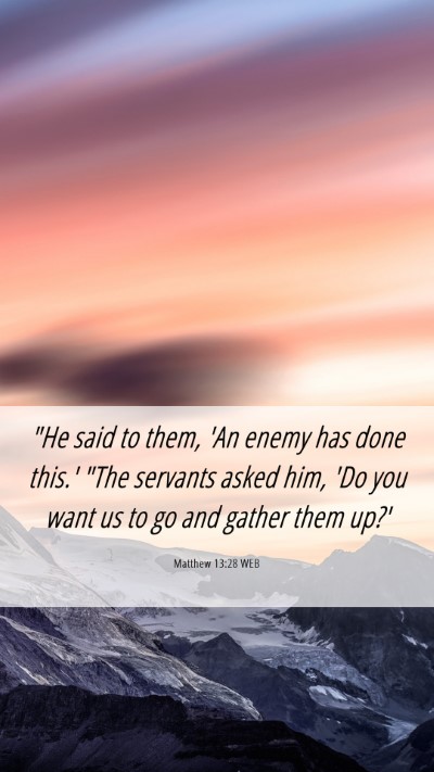 Picture 06 - Matthew 13:28 WEB Mobile Phone Wallpaper - 