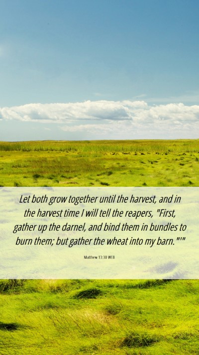 Picture 06 - Matthew 13:30 WEB Mobile Phone Wallpaper - Let both grow together until the harvest, and in - Mobile Bible Verse Wallpaper