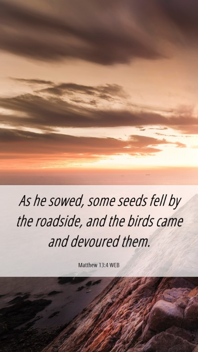 Picture 06 - Matthew 13:4 WEB Mobile Phone Wallpaper - As he sowed, some seeds fell by the roadside, and - Mobile Bible Verse Wallpaper