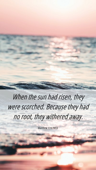 Picture 06 - Matthew 13:6 WEB Mobile Phone Wallpaper - When the sun had risen, they were scorched. - Mobile Bible Verse Wallpaper