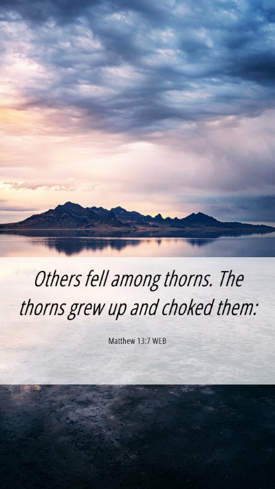 Picture 06 - Matthew 13:7 WEB Mobile Phone Wallpaper - Others fell among thorns. The thorns grew up and - Mobile Bible Verse Wallpaper