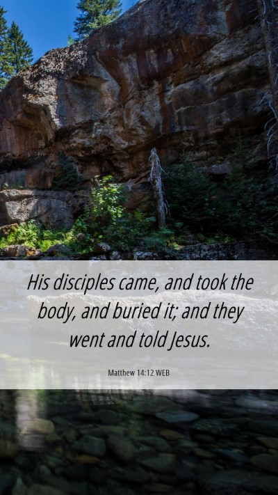 Picture 06 - Matthew 14:12 WEB Mobile Phone Wallpaper - His disciples came, and took the body, and buried - Mobile Bible Verse Wallpaper