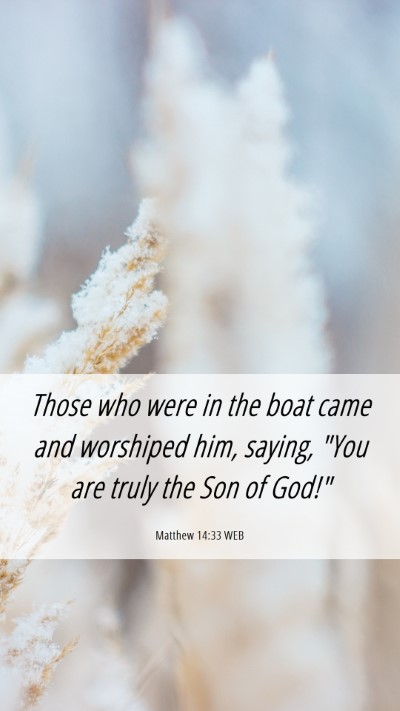 Picture 06 - Matthew 14:33 WEB Mobile Phone Wallpaper - Those who were in the boat came and worshiped - Mobile Bible Verse Wallpaper