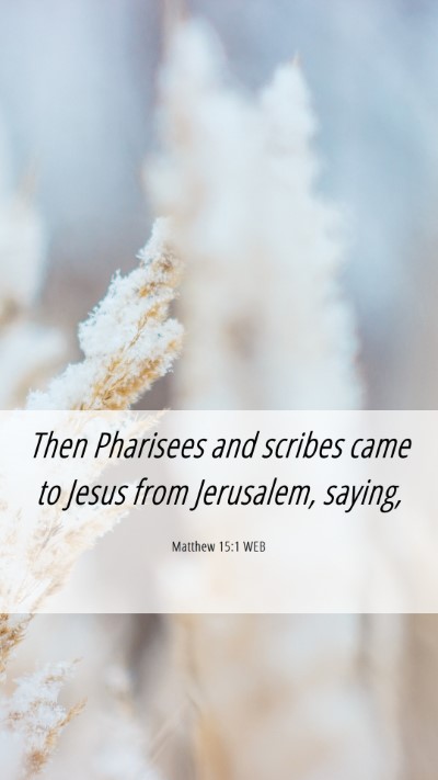 Picture 06 - Matthew 15:1 WEB Mobile Phone Wallpaper - Then Pharisees and scribes came to Jesus from - Mobile Bible Verse Wallpaper