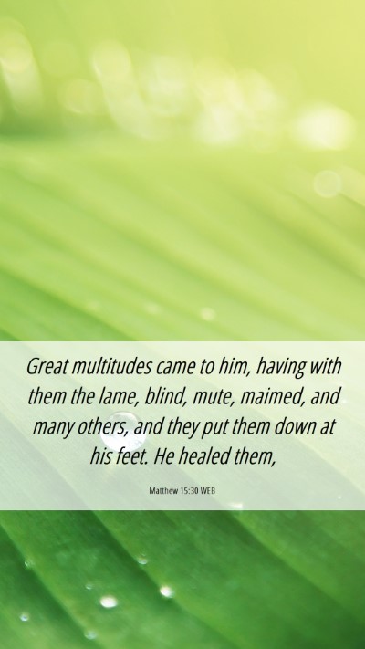 Picture 06 - Matthew 15:30 WEB Mobile Phone Wallpaper - Great multitudes came to him, having with them - Mobile Bible Verse Wallpaper