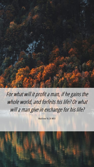 Picture 06 - Matthew 16:26 WEB Mobile Phone Wallpaper - For what will it profit a man, if he gains the - Mobile Bible Verse Wallpaper