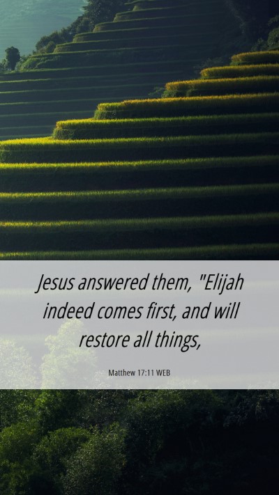 Picture 06 - Matthew 17:11 WEB Mobile Phone Wallpaper - Jesus answered them, 