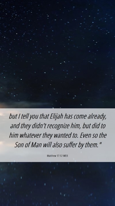 Picture 06 - Matthew 17:12 WEB Mobile Phone Wallpaper - but I tell you that Elijah has come already, and - Mobile Bible Verse Wallpaper