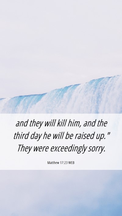 Picture 06 - Matthew 17:23 WEB Mobile Phone Wallpaper - and they will kill him, and the third day he will - Mobile Bible Verse Wallpaper