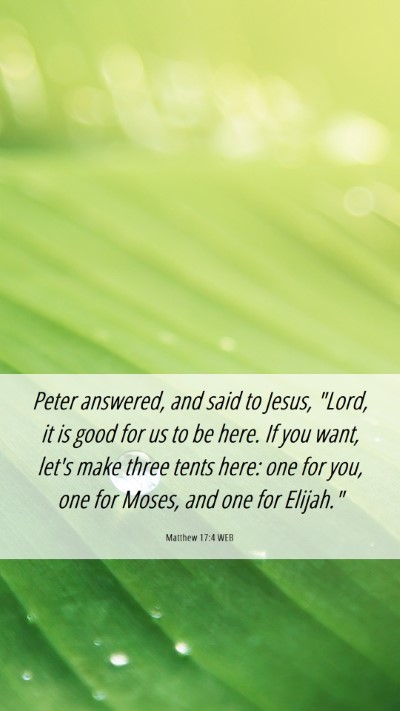 Picture 06 - Matthew 17:4 WEB Mobile Phone Wallpaper - Peter answered, and said to Jesus, 