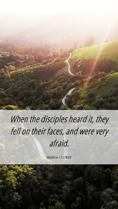 Picture 06 - Matthew 17:6 WEB Mobile Phone Wallpaper - When the disciples heard it, they fell on their - Mobile Bible Verse Wallpaper