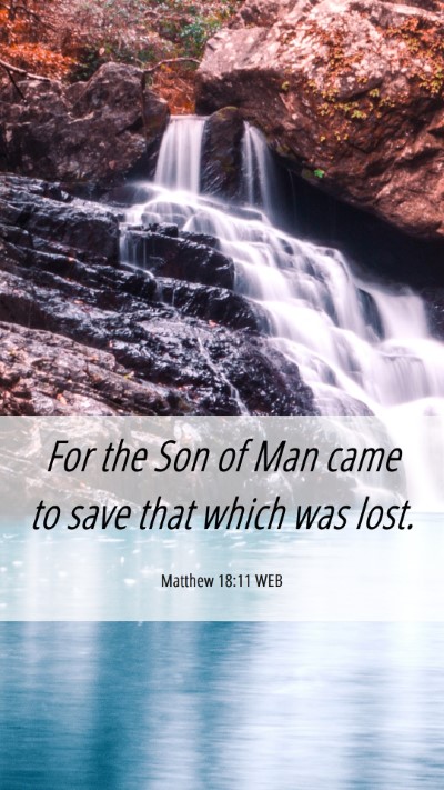 Picture 06 - Matthew 18:11 WEB Mobile Phone Wallpaper - For the Son of Man came to save that which was - Mobile Bible Verse Wallpaper