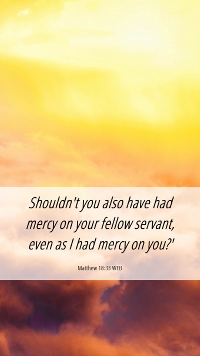 Picture 06 - Matthew 18:33 WEB Mobile Phone Wallpaper - Shouldn't you also have had mercy on your fellow - Mobile Bible Verse Wallpaper