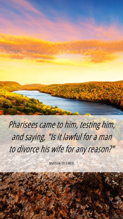 Picture 06 - Matthew 19:3 WEB Mobile Phone Wallpaper - Pharisees came to him, testing him, and saying, - Mobile Bible Verse Wallpaper