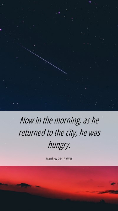 Picture 06 - Matthew 21:18 WEB Mobile Phone Wallpaper - Now in the morning, as he returned to the city, - Mobile Bible Verse Wallpaper