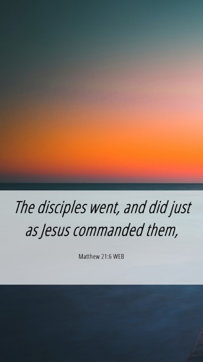 Picture 06 - Matthew 21:6 WEB Mobile Phone Wallpaper - The disciples went, and did just as Jesus - Mobile Bible Verse Wallpaper