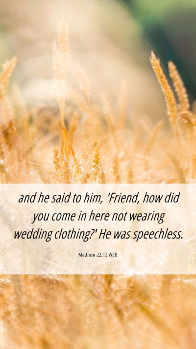 Picture 06 - Matthew 22:12 WEB Mobile Phone Wallpaper - and he said to him, 'Friend, how did you come in - Mobile Bible Verse Wallpaper