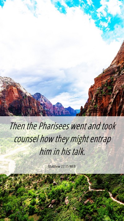Picture 06 - Matthew 22:15 WEB Mobile Phone Wallpaper - Then the Pharisees went and took counsel how they - Mobile Bible Verse Wallpaper