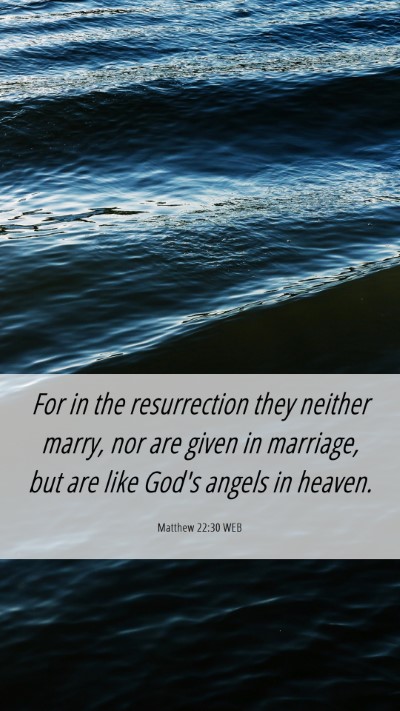 Picture 06 - Matthew 22:30 WEB Mobile Phone Wallpaper - For in the resurrection they neither marry, nor - Mobile Bible Verse Wallpaper