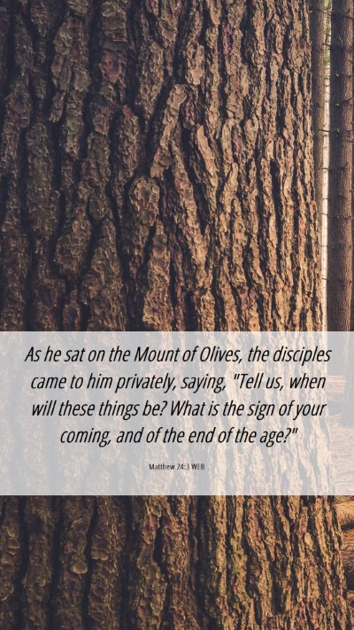 Picture 06 - Matthew 24:3 WEB Mobile Phone Wallpaper - As he sat on the Mount of Olives, the disciples - Mobile Bible Verse Wallpaper