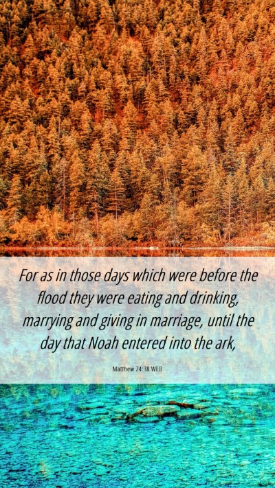 Picture 06 - Matthew 24:38 WEB Mobile Phone Wallpaper - For as in those days which were before the flood - Mobile Bible Verse Wallpaper