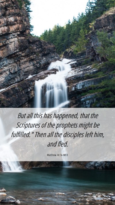 Picture 06 - Matthew 26:56 WEB Mobile Phone Wallpaper - But all this has happened, that the Scriptures of - Mobile Bible Verse Wallpaper