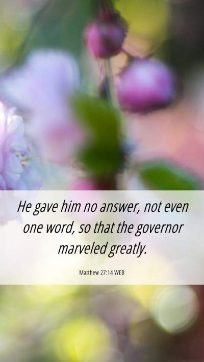 Picture 06 - Matthew 27:14 WEB Mobile Phone Wallpaper - He gave him no answer, not even one word, so that - Mobile Bible Verse Wallpaper