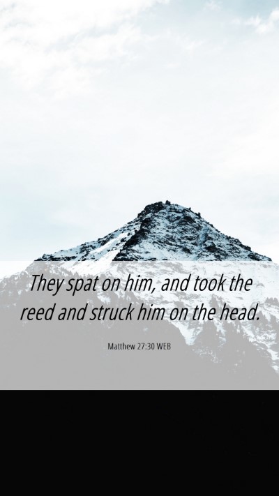 Picture 06 - Matthew 27:30 WEB Mobile Phone Wallpaper - They spat on him, and took the reed and struck - Mobile Bible Verse Wallpaper