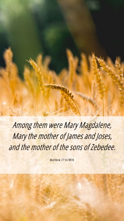 Picture 06 - Matthew 27:56 WEB Mobile Phone Wallpaper - Among them were Mary Magdalene, Mary the mother - Mobile Bible Verse Wallpaper