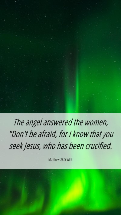Picture 06 - Matthew 28:5 WEB Mobile Phone Wallpaper - The angel answered the women, 