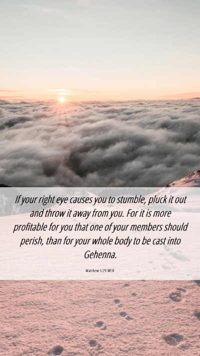 Picture 06 - Matthew 5:29 WEB Mobile Phone Wallpaper - If your right eye causes you to stumble, pluck it - Mobile Bible Verse Wallpaper