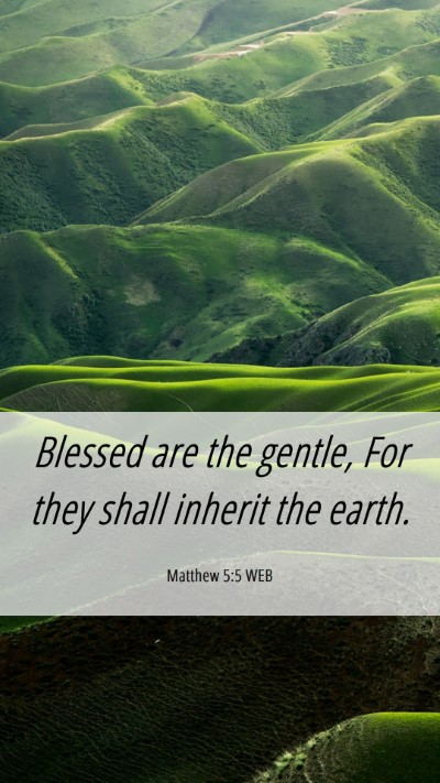 Picture 06 - Matthew 5:5 WEB Mobile Phone Wallpaper - Blessed are the gentle, For they shall inherit - Mobile Bible Verse Wallpaper