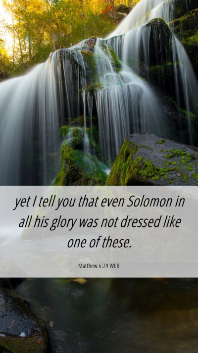 Picture 06 - Matthew 6:29 WEB Mobile Phone Wallpaper - yet I tell you that even Solomon in all his glory - Mobile Bible Verse Wallpaper