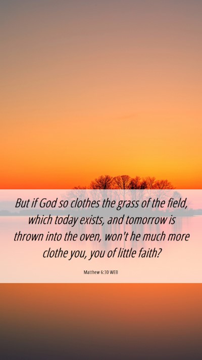 Picture 06 - Matthew 6:30 WEB Mobile Phone Wallpaper - But if God so clothes the grass of the field, - Mobile Bible Verse Wallpaper