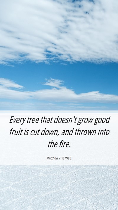 Picture 06 - Matthew 7:19 WEB Mobile Phone Wallpaper - Every tree that doesn't grow good fruit is cut - Mobile Bible Verse Wallpaper