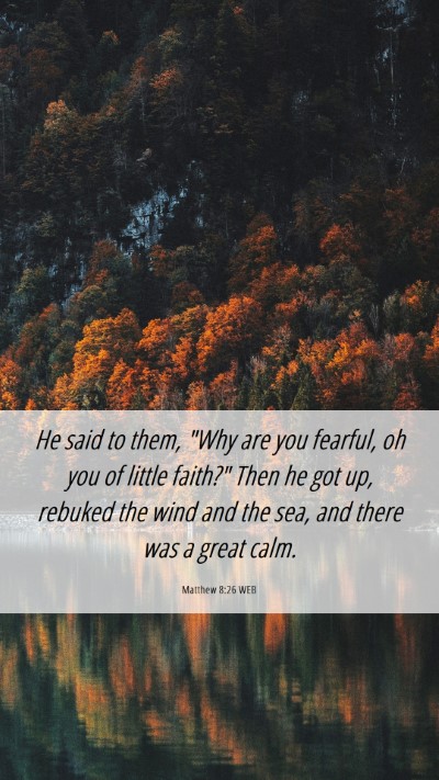 Picture 06 - Matthew 8:26 WEB Mobile Phone Wallpaper - He said to them, 