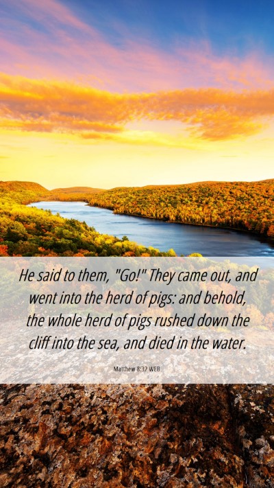 Picture 06 - Matthew 8:32 WEB Mobile Phone Wallpaper - He said to them, 