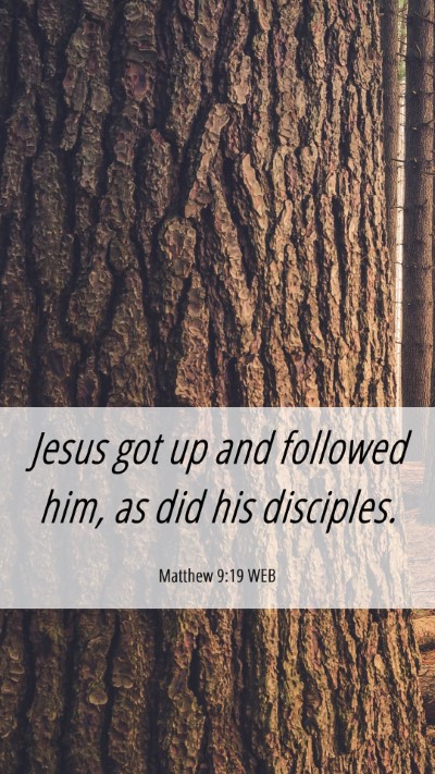 Picture 06 - Matthew 9:19 WEB Mobile Phone Wallpaper - Jesus got up and followed him, as did his - Mobile Bible Verse Wallpaper