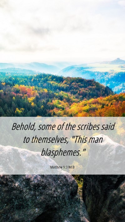 Picture 06 - Matthew 9:3 WEB Mobile Phone Wallpaper - Behold, some of the scribes said to themselves, - Mobile Bible Verse Wallpaper