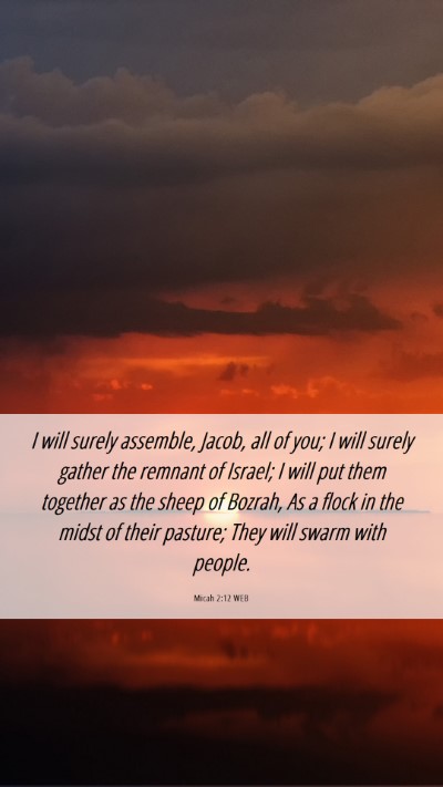Picture 06 - Micah 2:12 WEB Mobile Phone Wallpaper - I will surely assemble, Jacob, all of you; I will - Mobile Bible Verse Wallpaper
