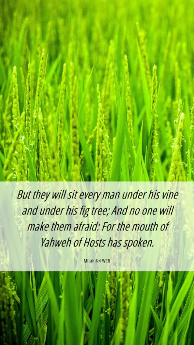 Picture 06 - Micah 4:4 WEB Mobile Phone Wallpaper - But they will sit every man under his vine and - Mobile Bible Verse Wallpaper