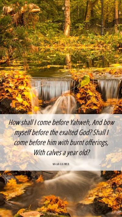 Picture 06 - Micah 6:6 WEB Mobile Phone Wallpaper - How shall I come before Yahweh, And bow myself - Mobile Bible Verse Wallpaper