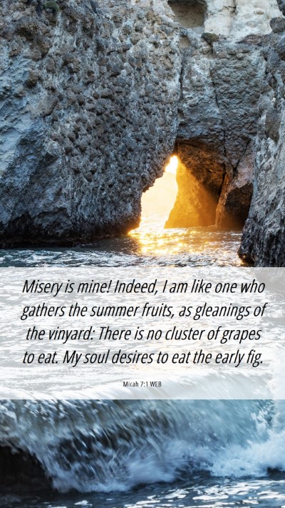 Picture 06 - Micah 7:1 WEB Mobile Phone Wallpaper - Misery is mine! Indeed, I am like one who gathers - Mobile Bible Verse Wallpaper