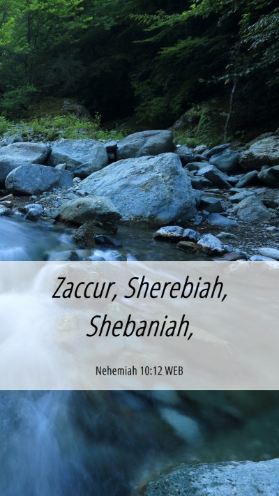 Picture 06 - Nehemiah 10:12 WEB Mobile Phone Wallpaper - Zaccur, Sherebiah, - Mobile Bible Verse Wallpaper