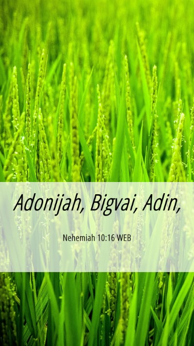 Picture 06 - Nehemiah 10:16 WEB Mobile Phone Wallpaper - Adonijah, Bigvai, - Mobile Bible Verse Wallpaper