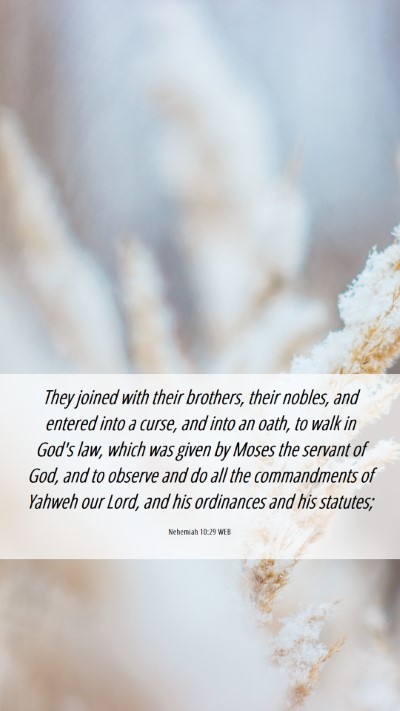 Picture 06 - Nehemiah 10:29 WEB Mobile Phone Wallpaper - They joined with their brothers, their nobles, - Mobile Bible Verse Wallpaper