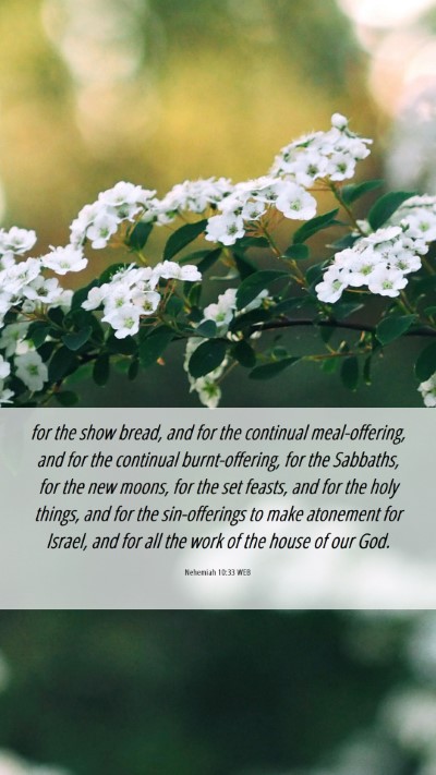 Picture 06 - Nehemiah 10:33 WEB Mobile Phone Wallpaper - for the show bread, and for the continual - Mobile Bible Verse Wallpaper