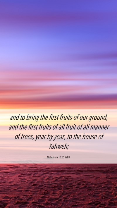 Picture 06 - Nehemiah 10:35 WEB Mobile Phone Wallpaper - and to bring the first fruits of our ground, and - Mobile Bible Verse Wallpaper