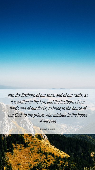 Picture 06 - Nehemiah 10:36 WEB Mobile Phone Wallpaper - also the firstborn of our sons, and of our - Mobile Bible Verse Wallpaper