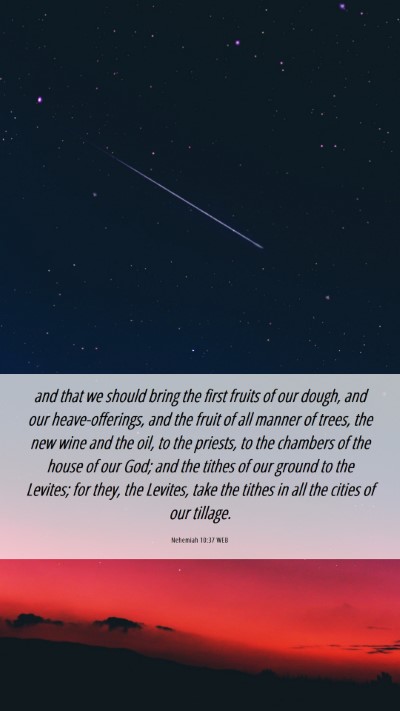 Picture 06 - Nehemiah 10:37 WEB Mobile Phone Wallpaper - and that we should bring the first fruits of our - Mobile Bible Verse Wallpaper